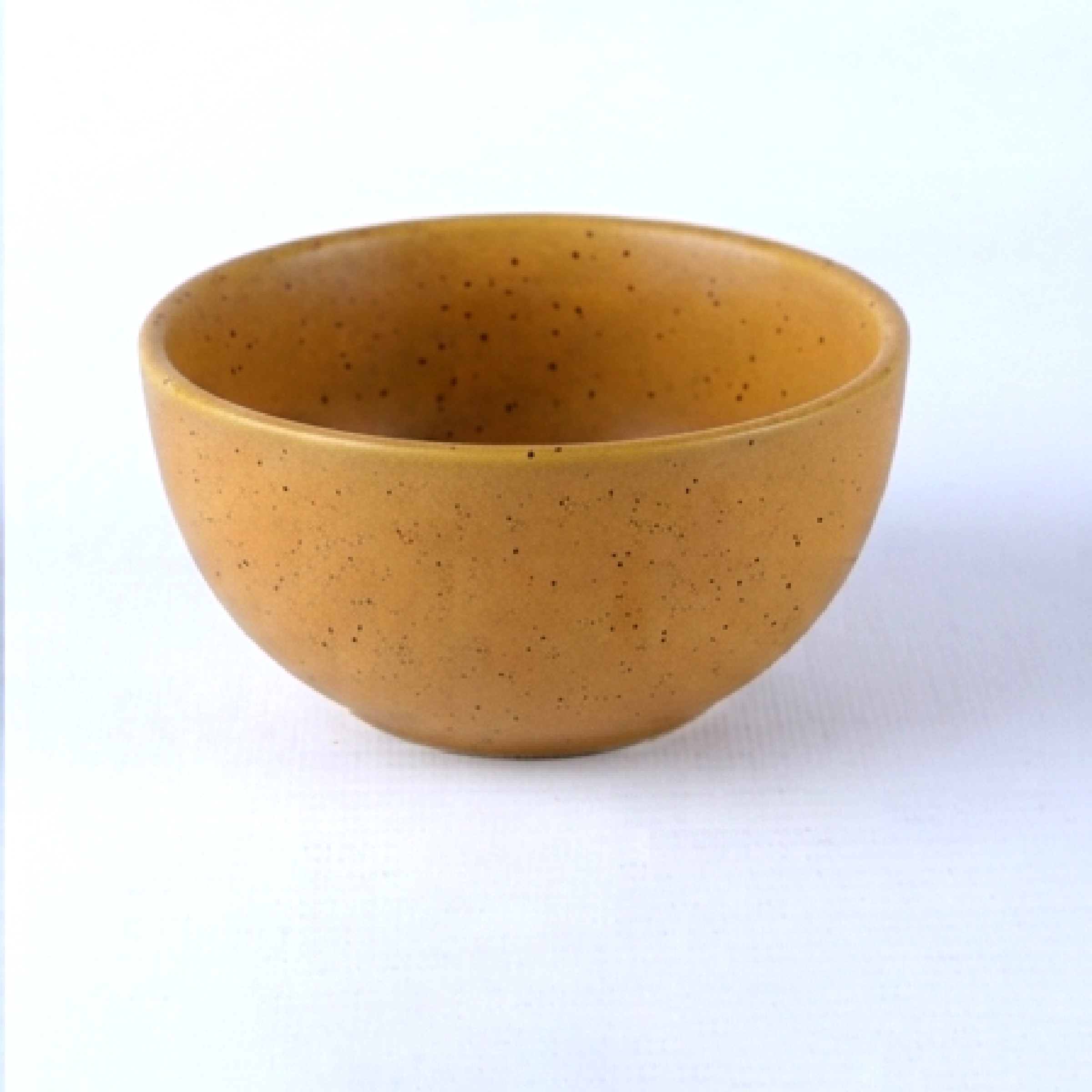 Dankotuwa | Earth Collection Caramel Stone Bowl S