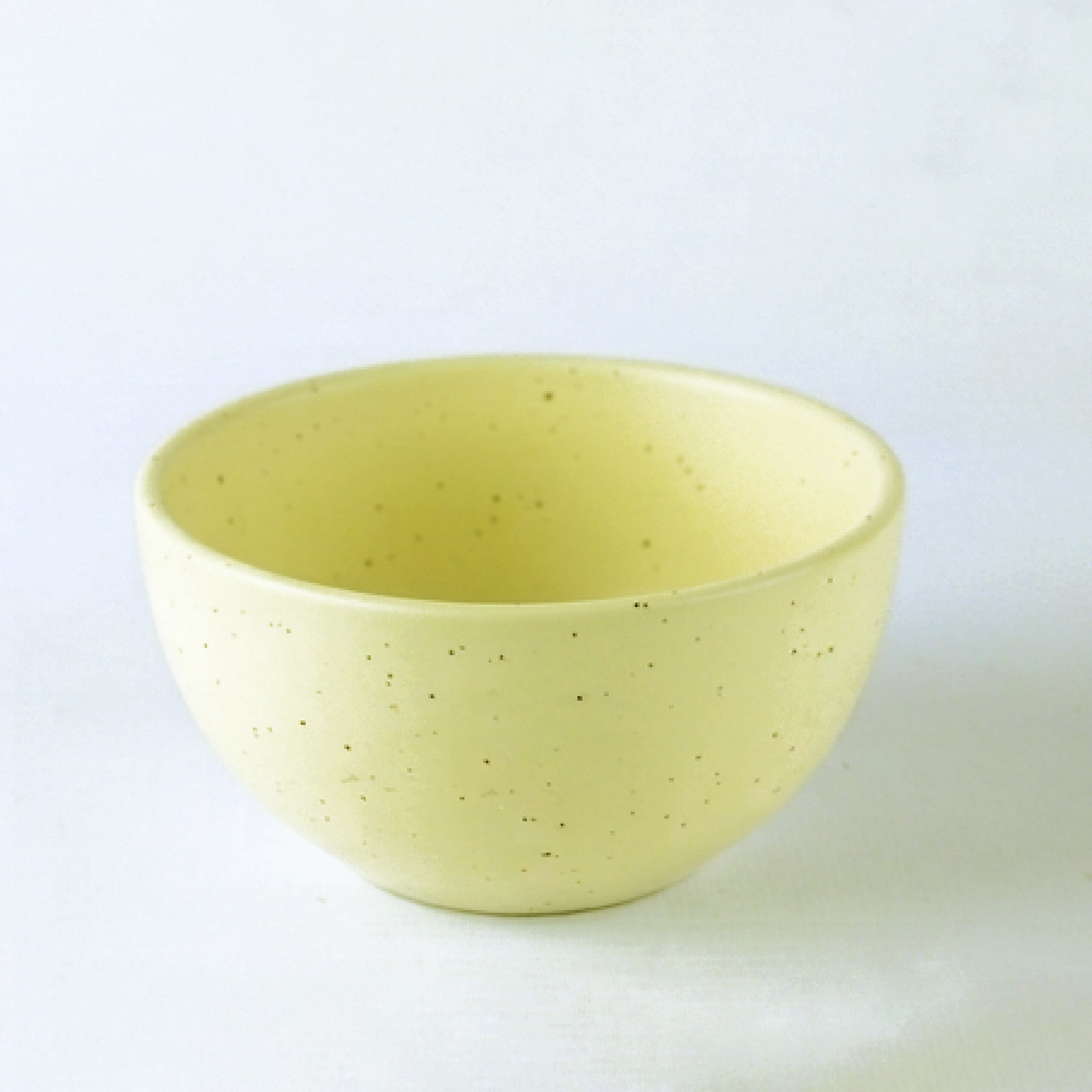 Dankotuwa | Earth Collection Desert Mist Bowl S