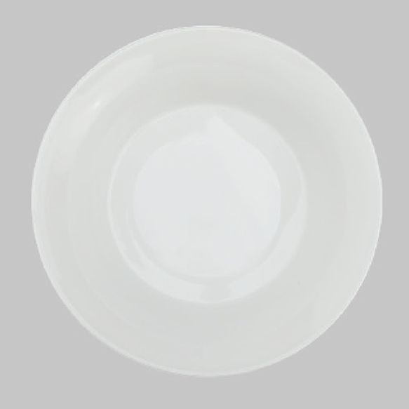 Dankotuwa | Hotel Ware Large Salad Bowl 309