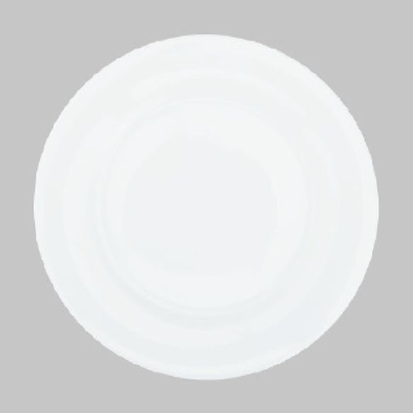 Dankotuwa | Hotel Ware Meat Plate 315