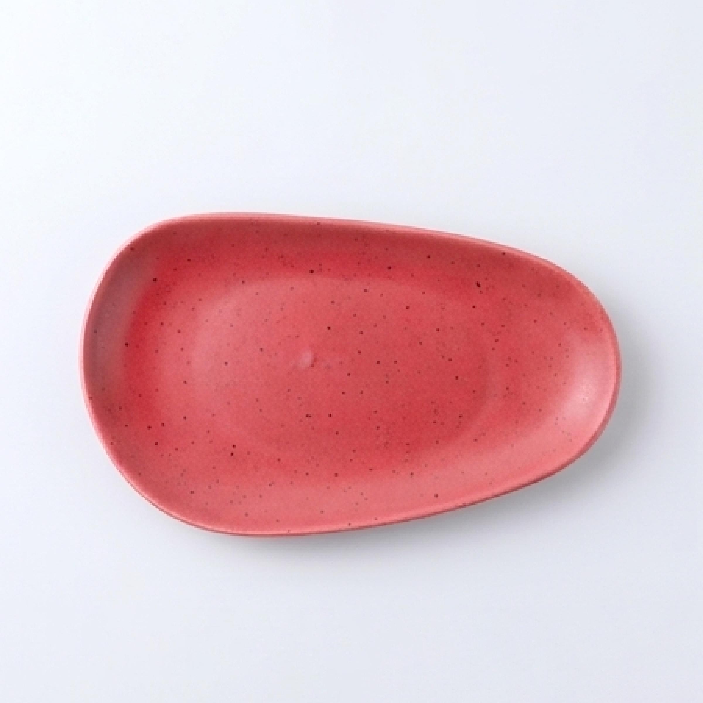 Dankotuwa | Earth Collection Coral Blush Medium Platter