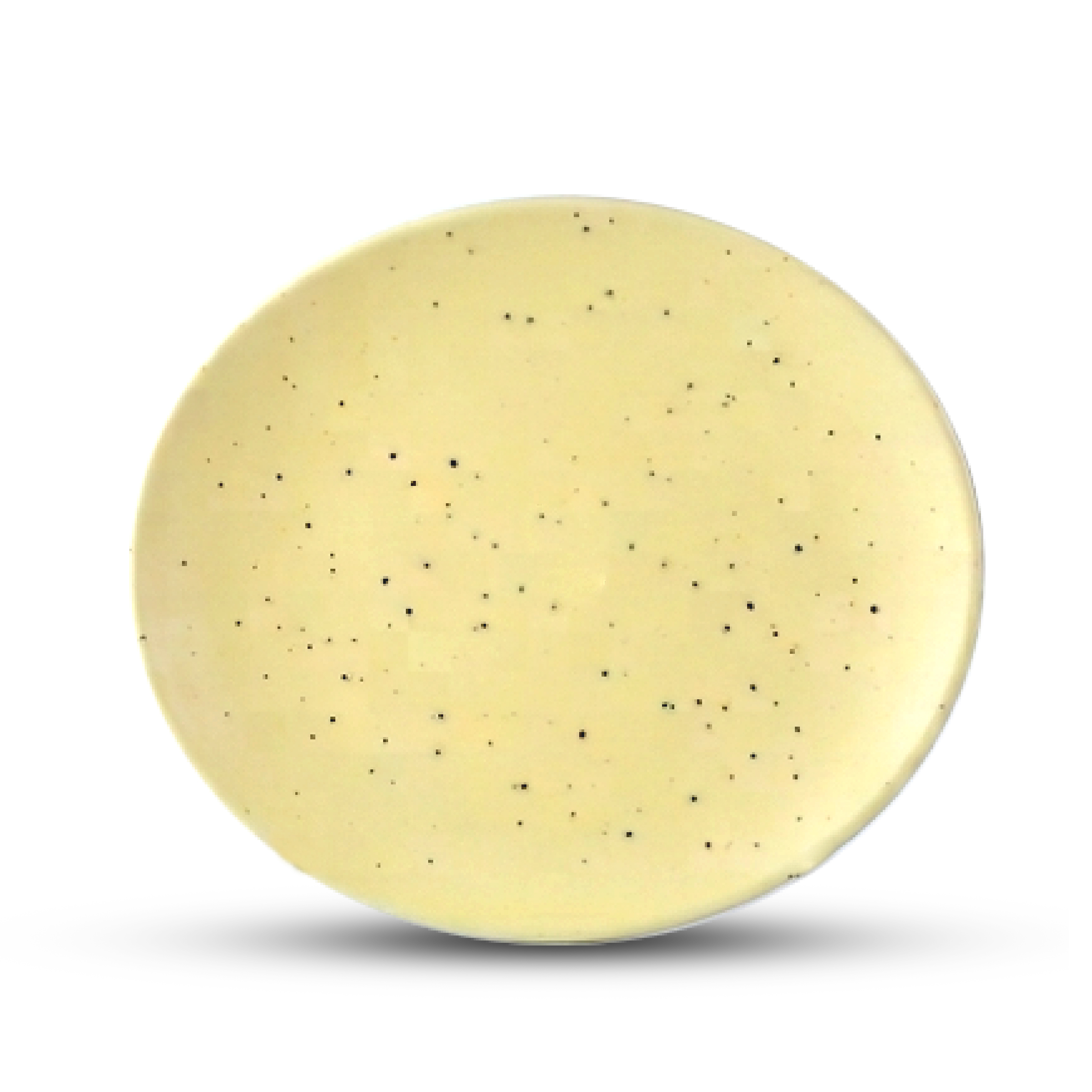 Dankotuwa | Earth Collection Desert Mist Bread & Butter Plate