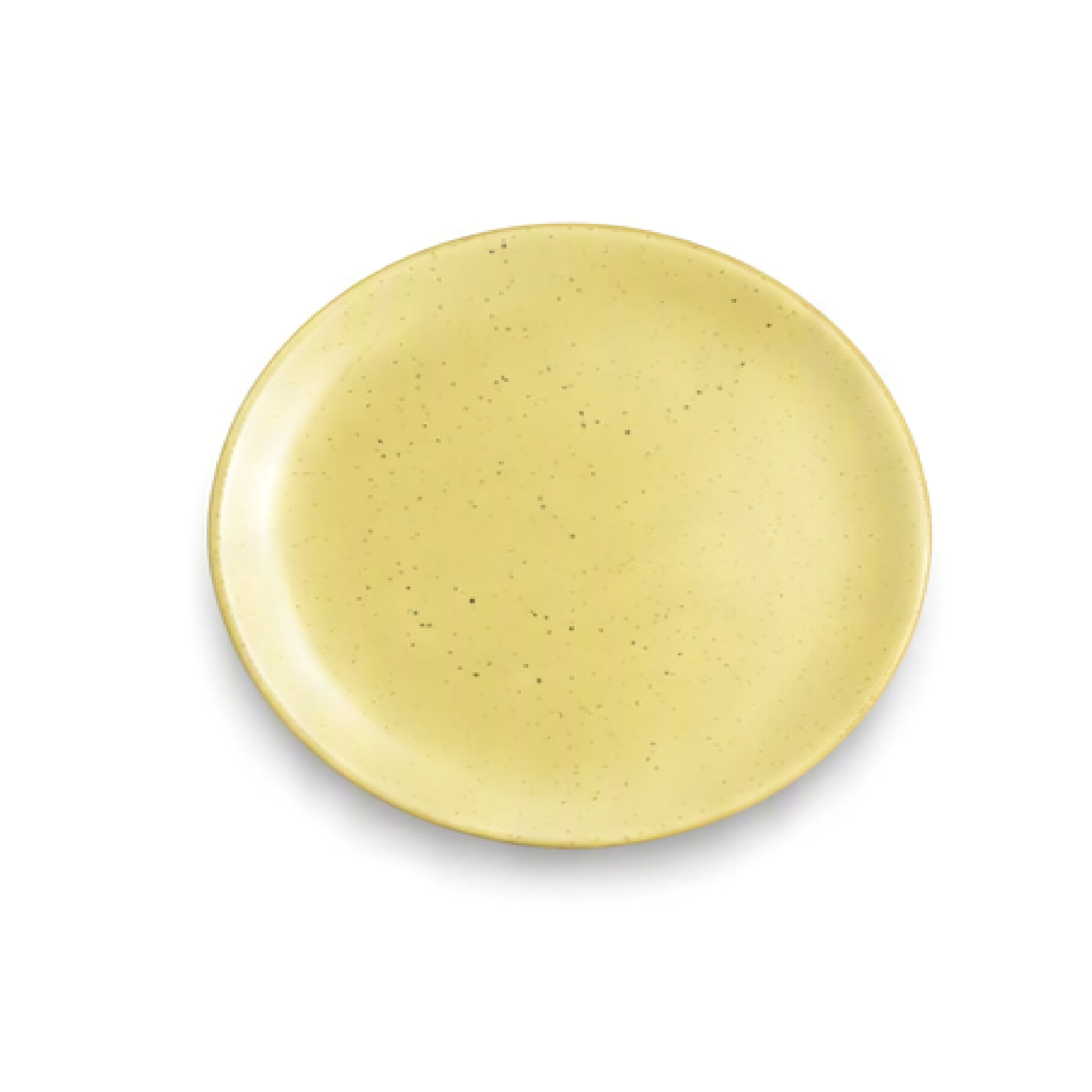 Dankotuwa | Earth Collection Desert Mist Dinner Plate