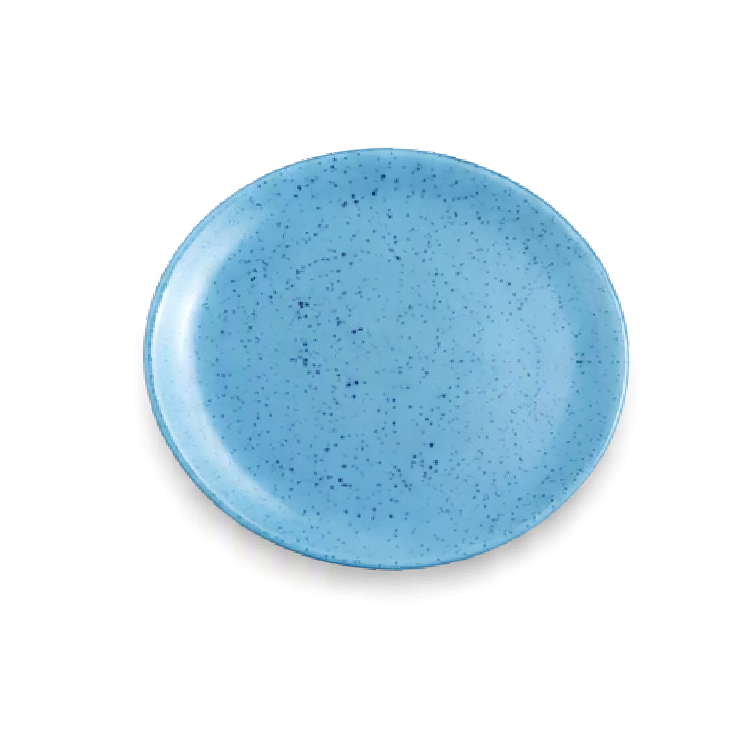 Dankotuwa | Earth Collection Sky Dust Dinner Plate