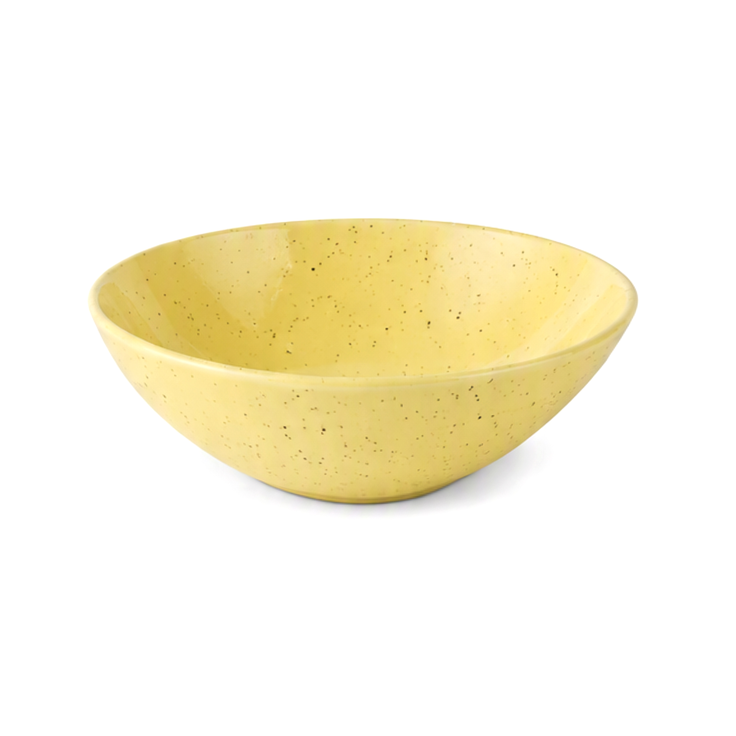 Dankotuwa | Earth Collection Desert Mist Large Bowl