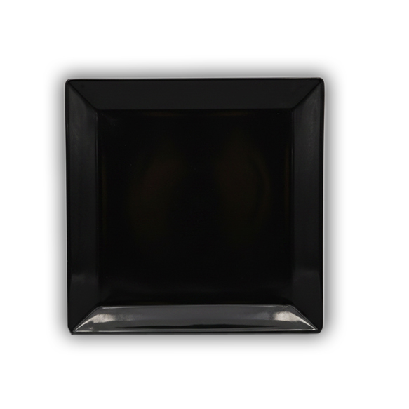 Dankotuwa | Black Glaze Dinner Plate - 4920