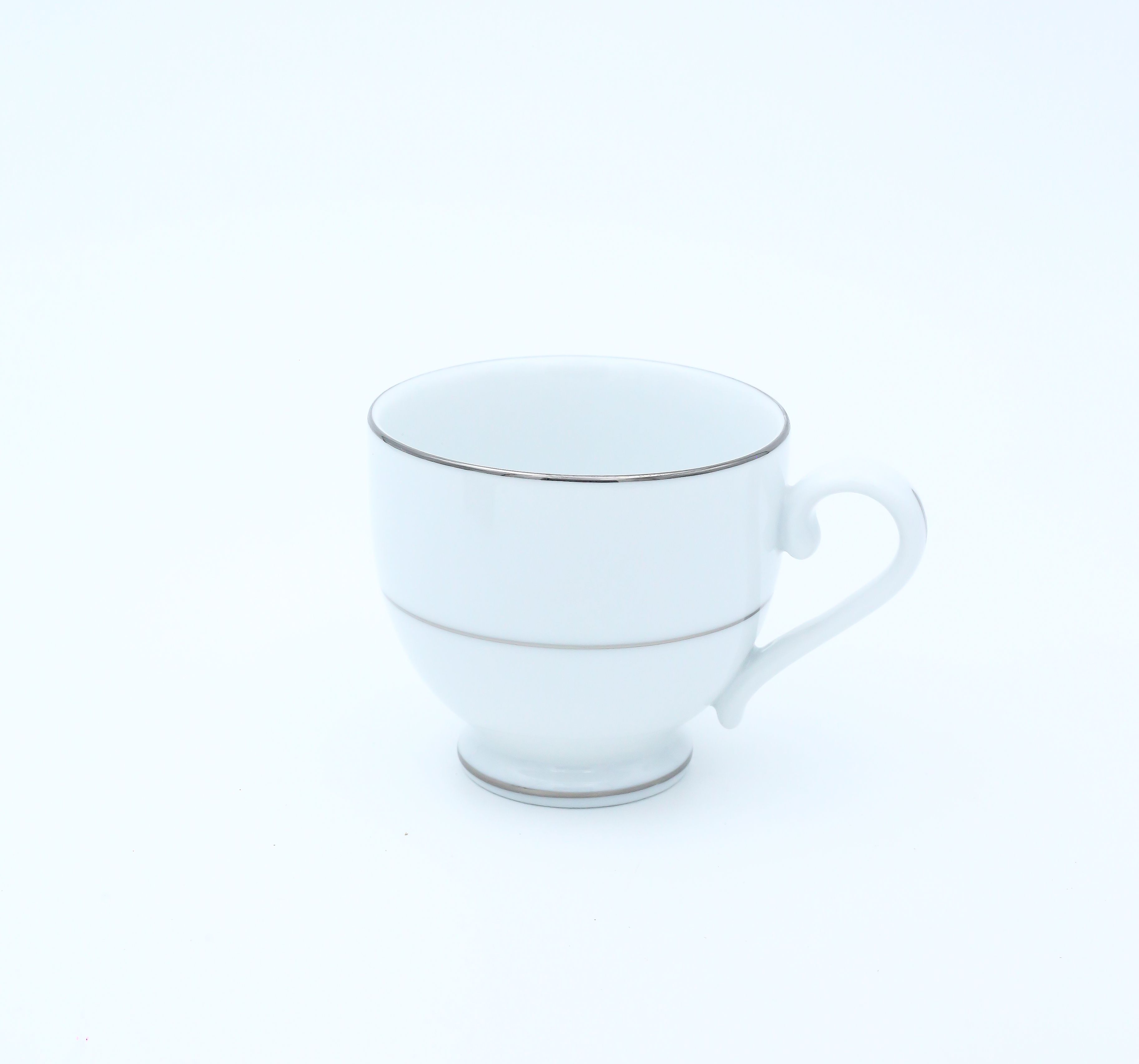 Dankotuwa | Silver Line Tea Cup & Saucer