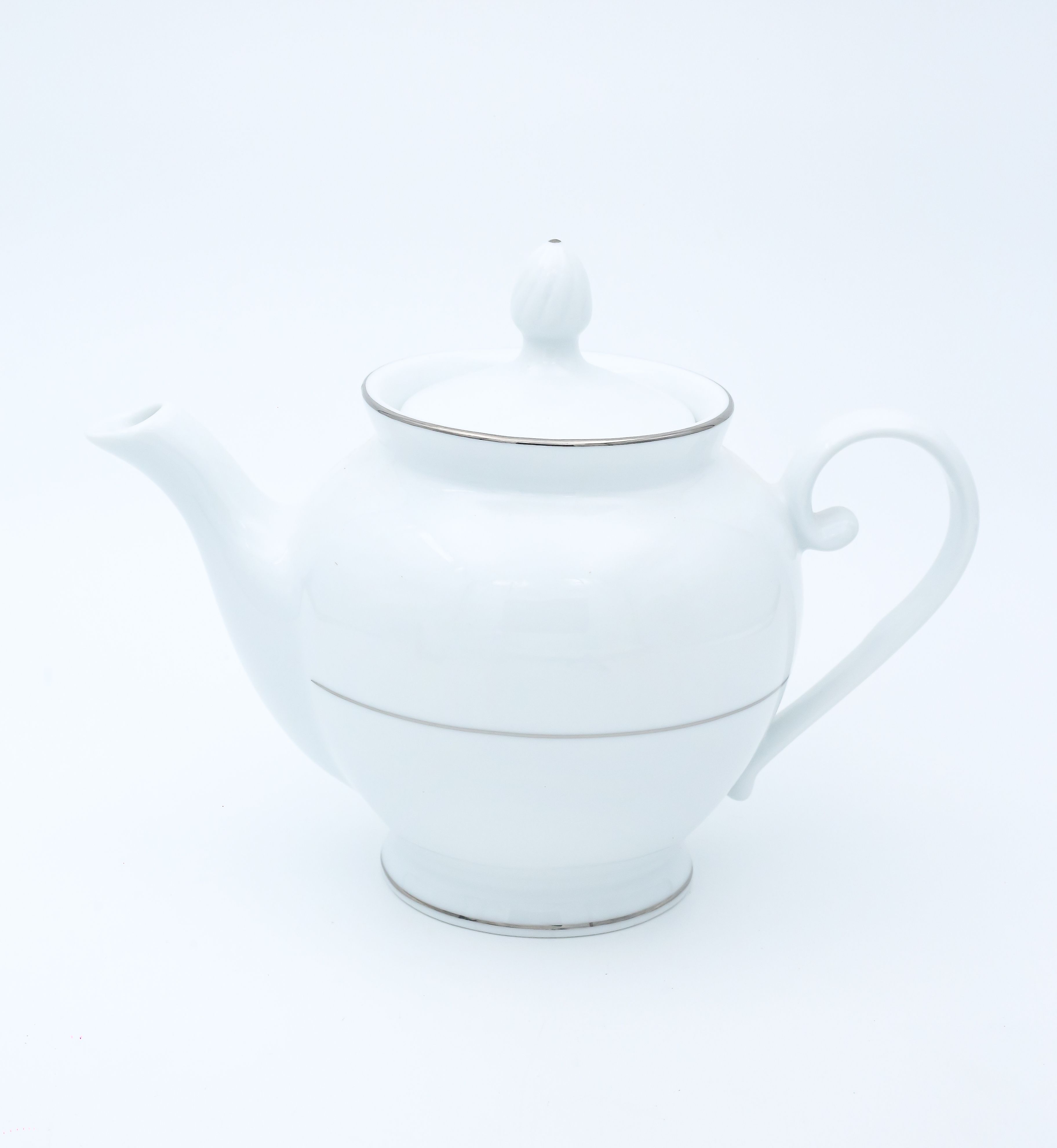 Dankotuwa | Silver Line 17 Pieces Tea Set
