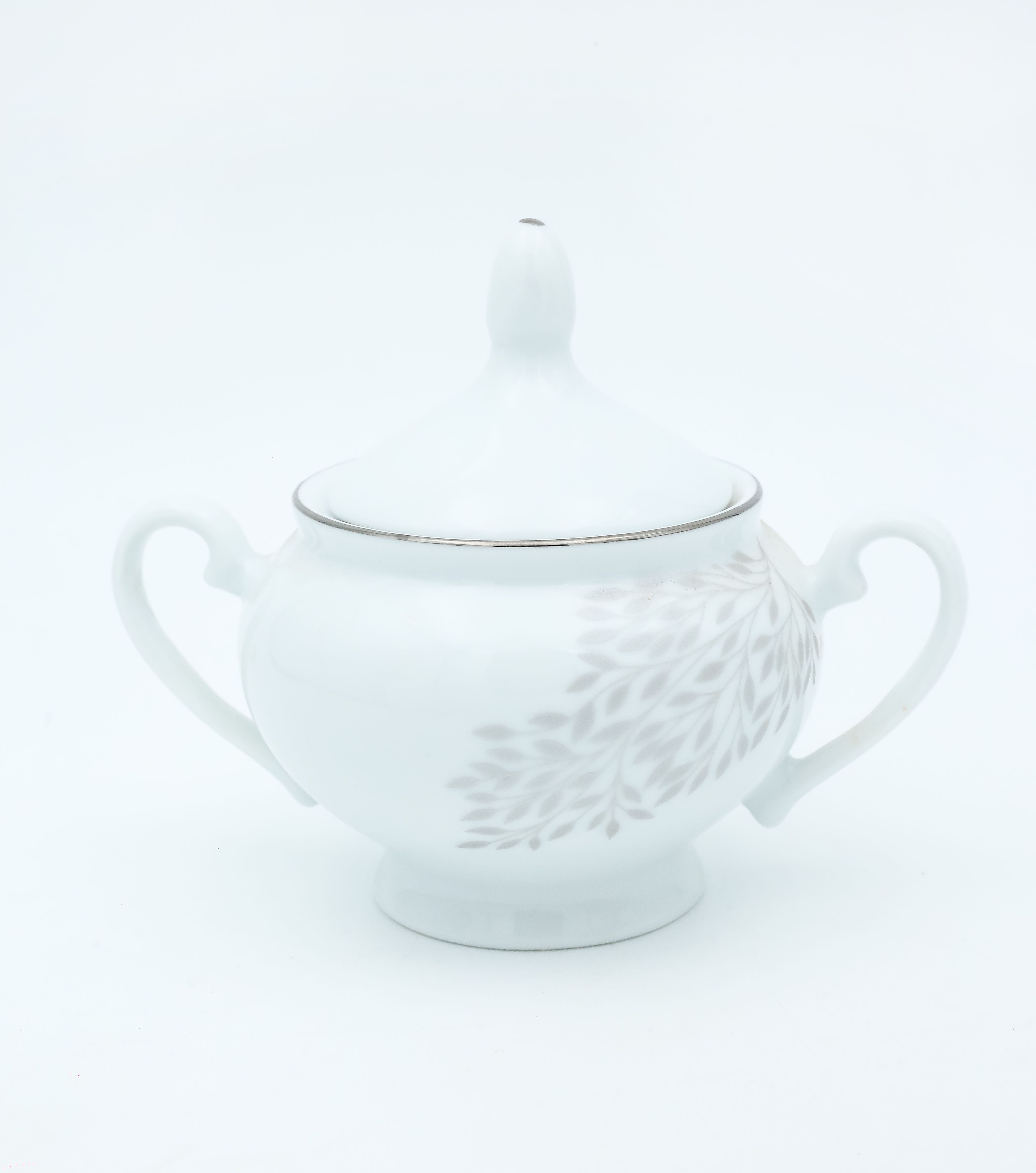 Dankotuwa | Silver Leaf 17 Pcs Tea Set