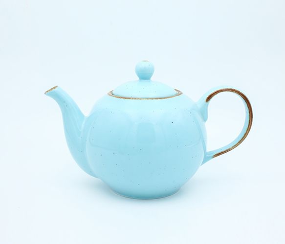 Dankotuwa | Aqua Blue 17 Pieces Tea Set