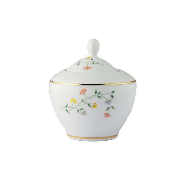 Dankotuwa | Floral Vines Sugar Bowl