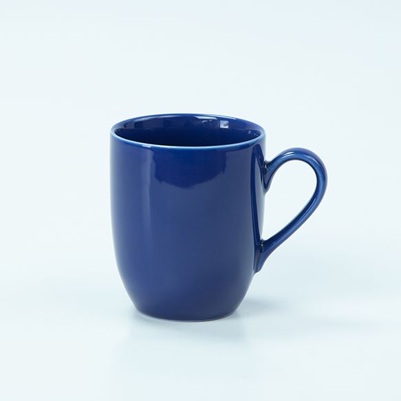 Dankotuwa | Lasting Rose 21 Pieces Dinner Set + 2 Kids Mugs + 2 Color Mugs